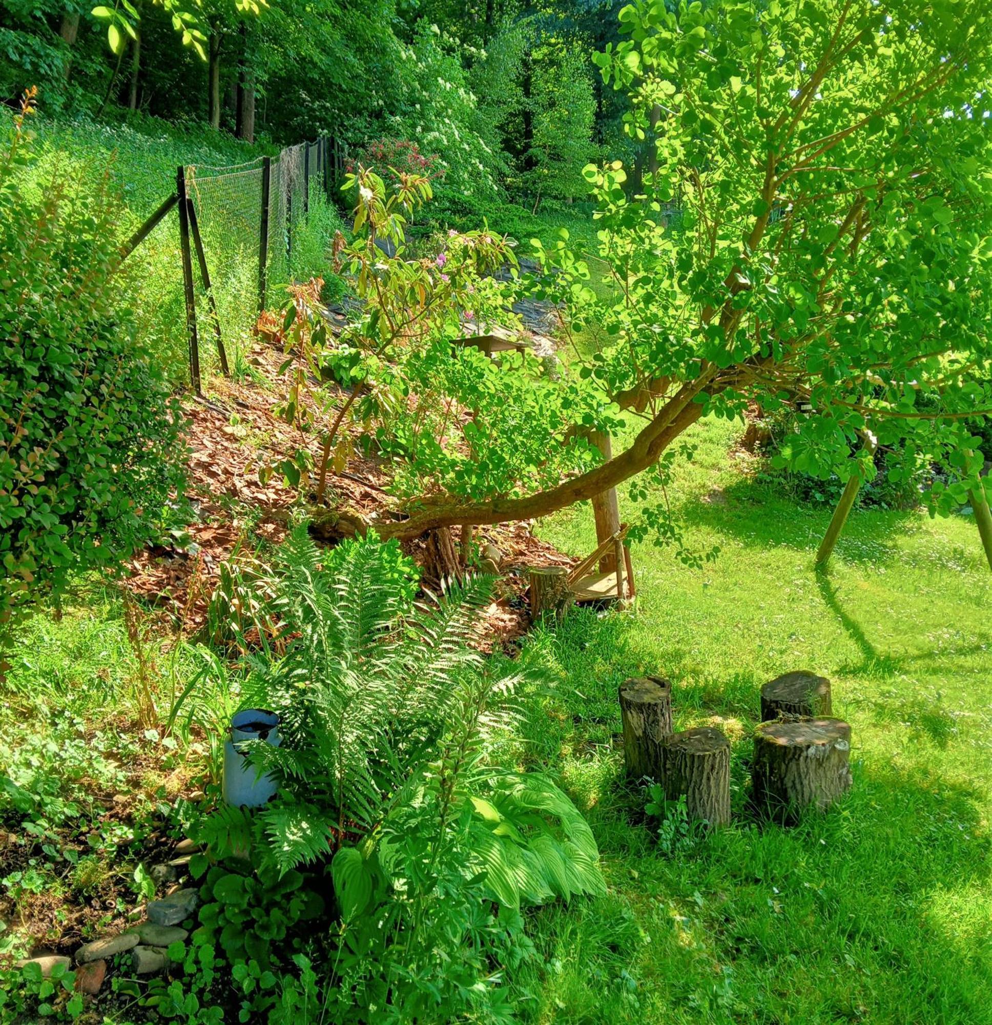 Dobra Chata V Dobre Villa Frýdek-Místek Exterior foto